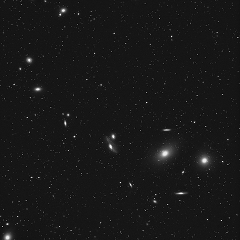 マルカリアンチェーン