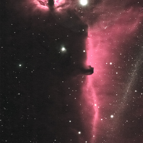 馬頭星雲と燃える木