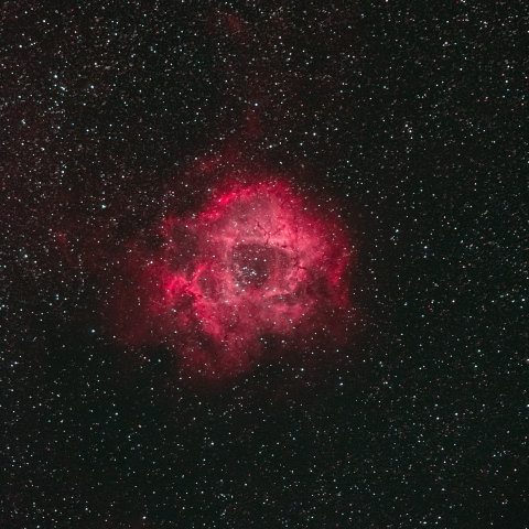 NGC2237 バラ星雲