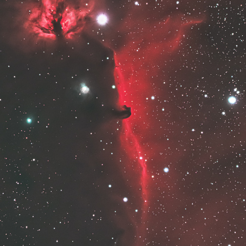馬頭星雲と燃える木