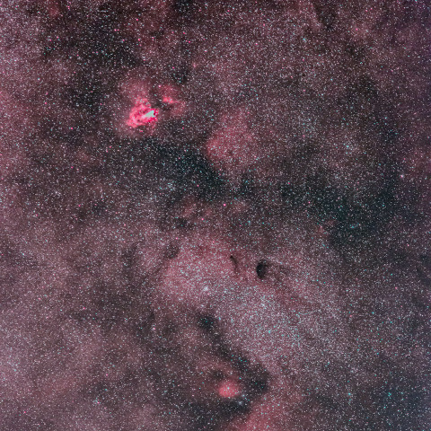 バンビの横顔周辺