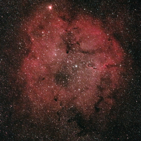 ガーネットスターと散光星雲 IC1396