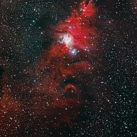 クリスマスツリー星団