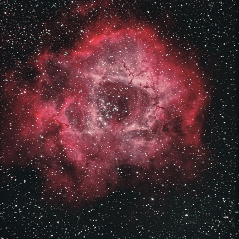 NGC2237 ばら星雲