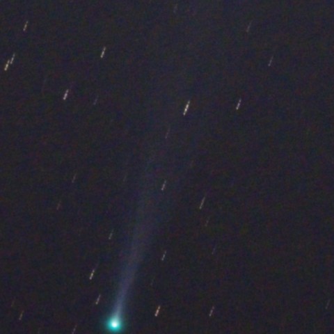 在りし日のアイソン彗星（画像再処理）