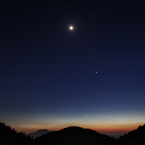 春宵のランデヴー