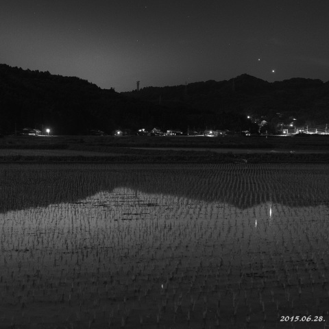 田圃のビーナス