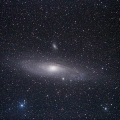 M31