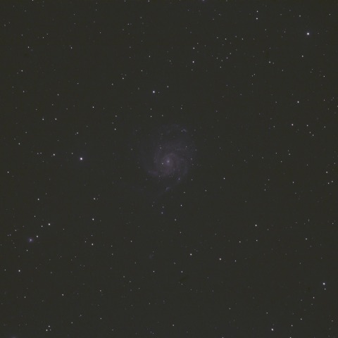 Ｍ１０１とＮＧＣ５４７４