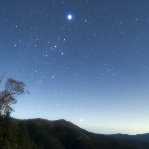 月夜を彩る冬の星たち2