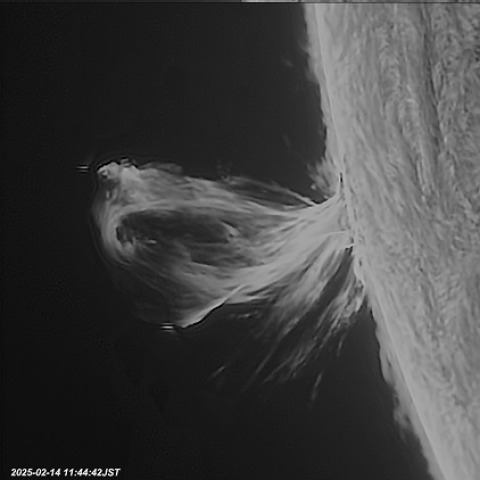 2025-2-14太陽プロミネンス