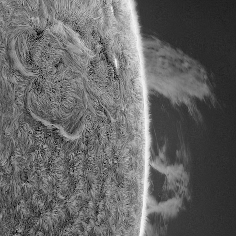 2025-6-29 プロミネンス