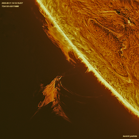 2025-8-11 太陽プロミネンス