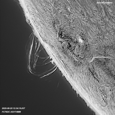 2025-8-25　ループプロミネンス