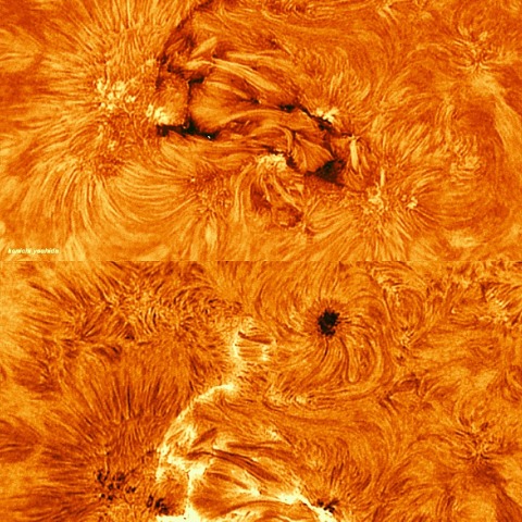 2026-04-03AR4408.4409