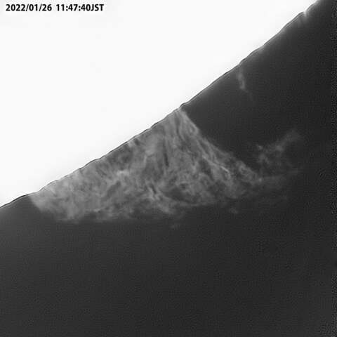 太陽プロミネンス