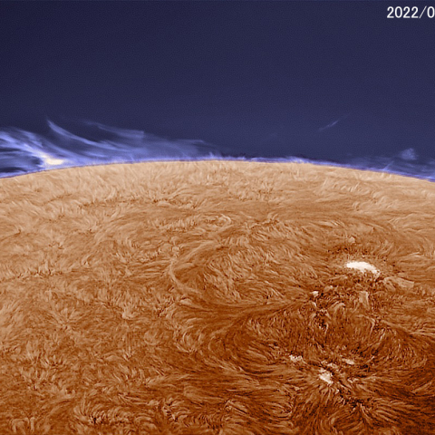 太陽プロミネンスとAR3038