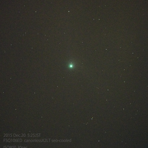 都心からのカタリナ