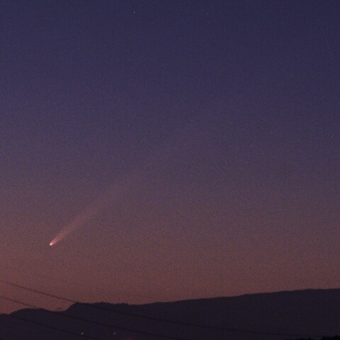 ようやく長い尾