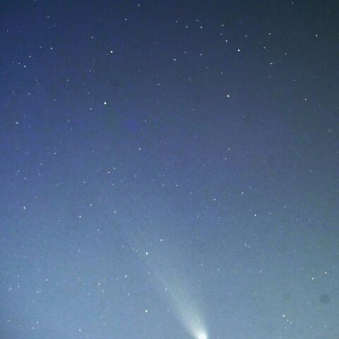 11月15日レモン彗星