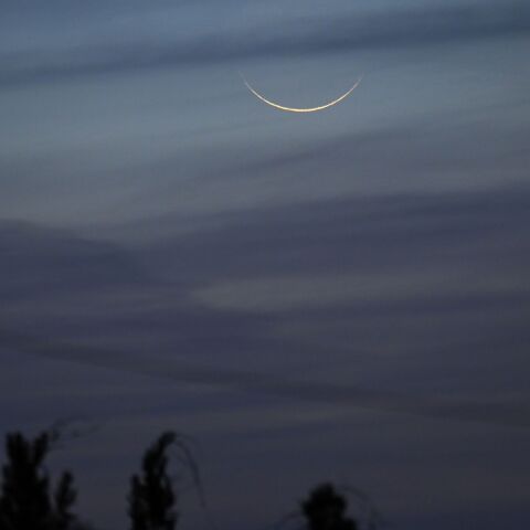 11月15日レモン彗星