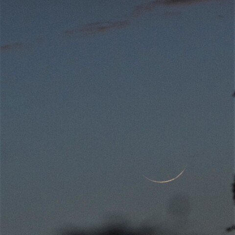 朝の細月