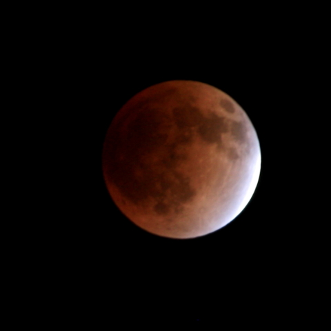 eosKissX2とkitレンズ、頑張った