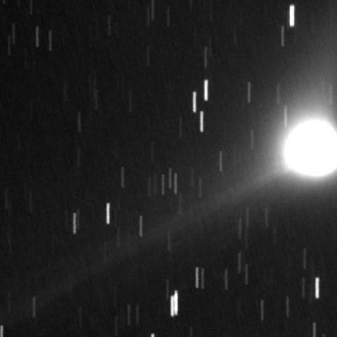 2013US10　カタリナ彗星