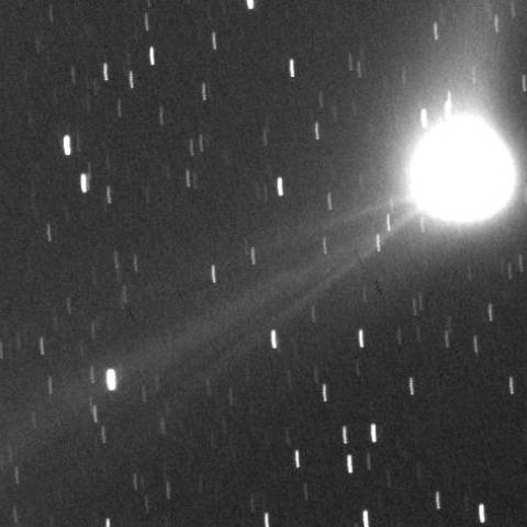 2013US10　カタリナ彗星