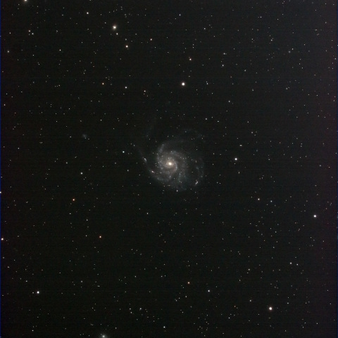 M101