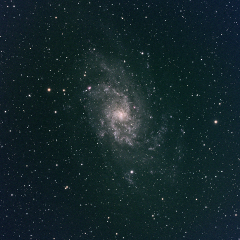 M33