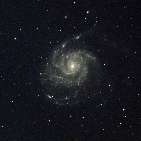 M101