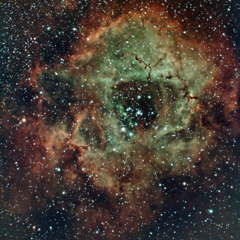 NGC2237 ばら星雲