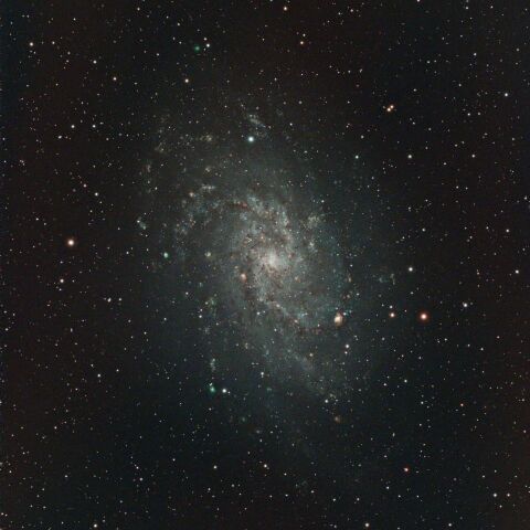 M33