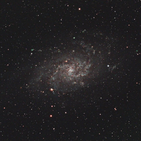 M33