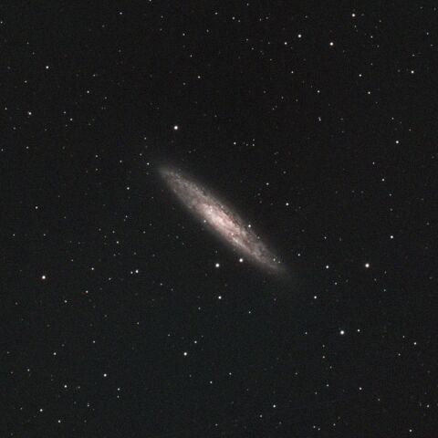 NGC253