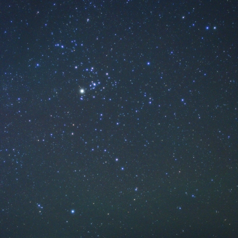 駆け上がる牡牛座