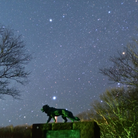 南極観測樺太犬訓練記念碑に犬たちが