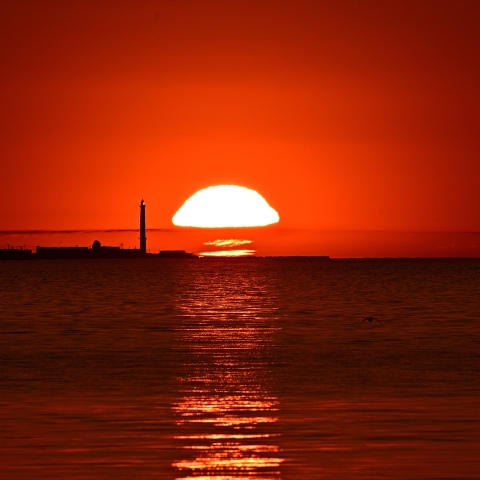 5/17-2 キノコ形の太陽