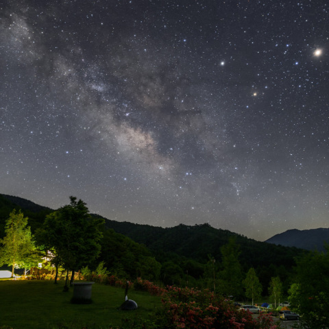 つつじを前景にさそりと夏の銀河（天の川）