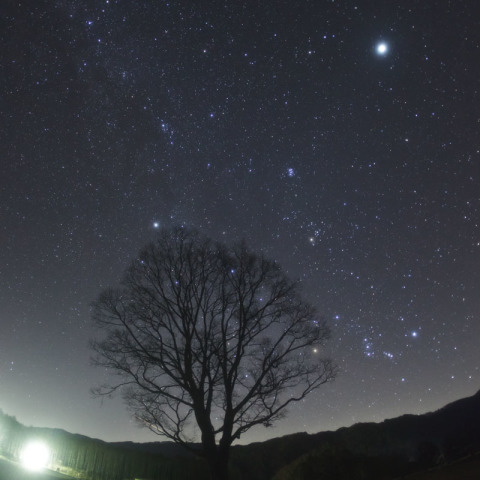 オリオンからカシオペア、そして木星