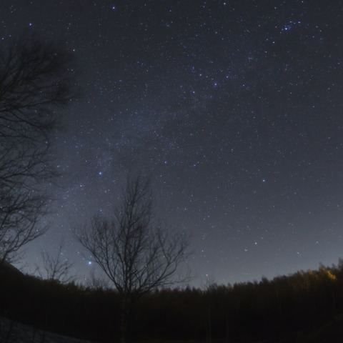夏の大三角からペルセウス