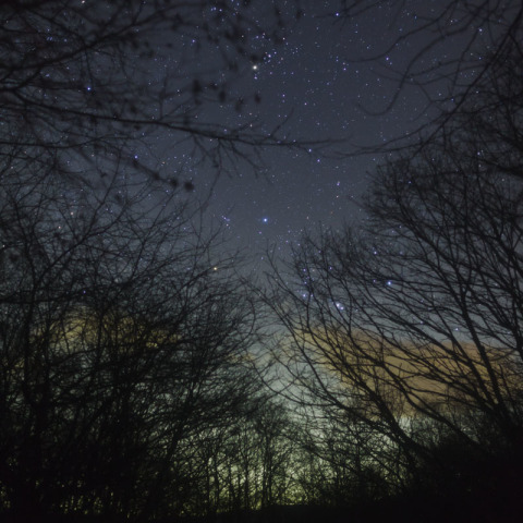 昇ってきたオリオンとヒアデス・プレアデス