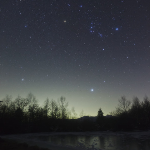 昇ってきた冬の大三角