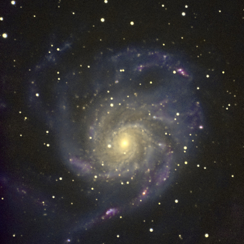 M101