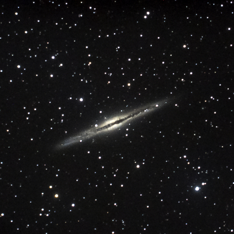 NGC891