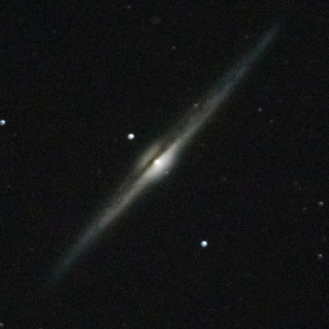 NGC4565
