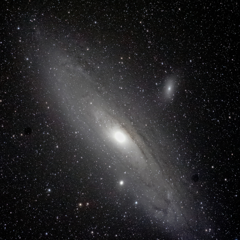 M31