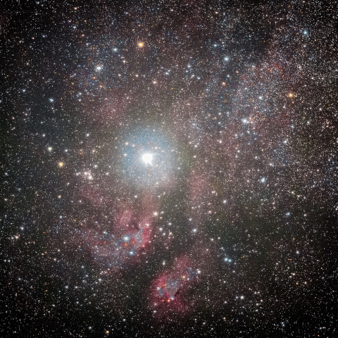 はくちょう座サドル周辺