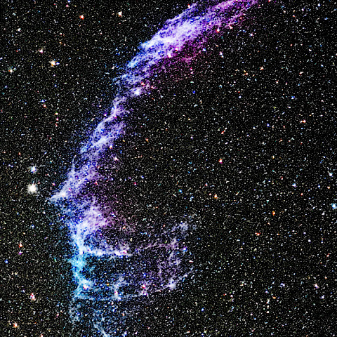 はくちょう座　網状星雲